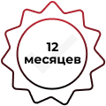 12 months.png 12 months.png