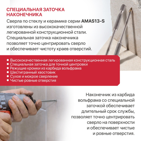 AMAS13-010S-6